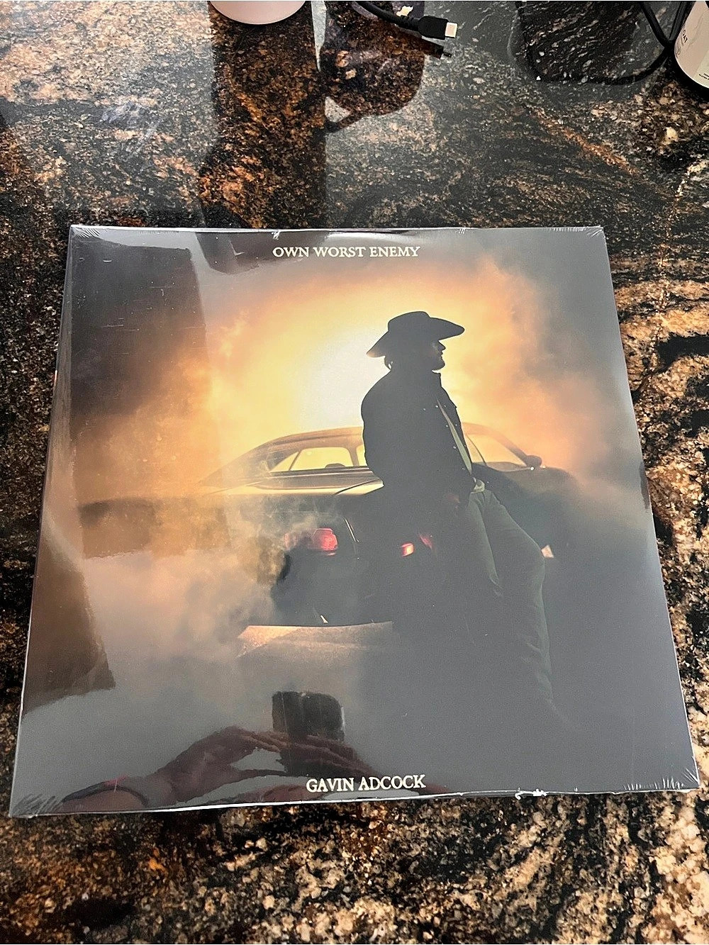 Own Worst Enemy Gavin Adcock Vinyl Record